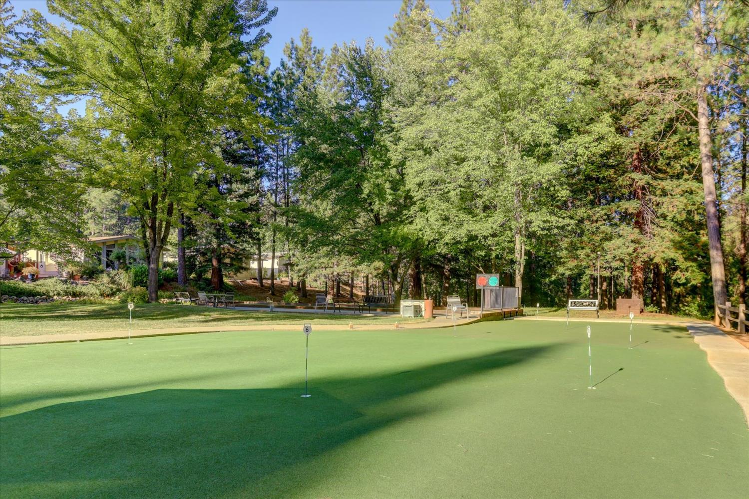 Detail Gallery Image 64 of 68 For 10046 Dalewood Way, Grass Valley,  CA 95949 - 2 Beds | 2 Baths