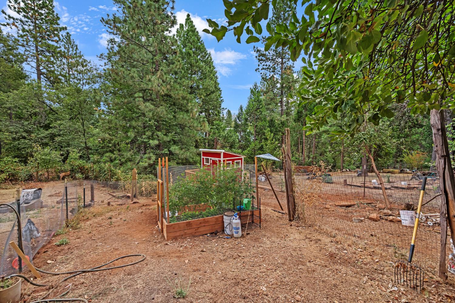 Detail Gallery Image 34 of 45 For 12191 Loma Rica Dr, Grass Valley,  CA 95945 - 3 Beds | 2 Baths