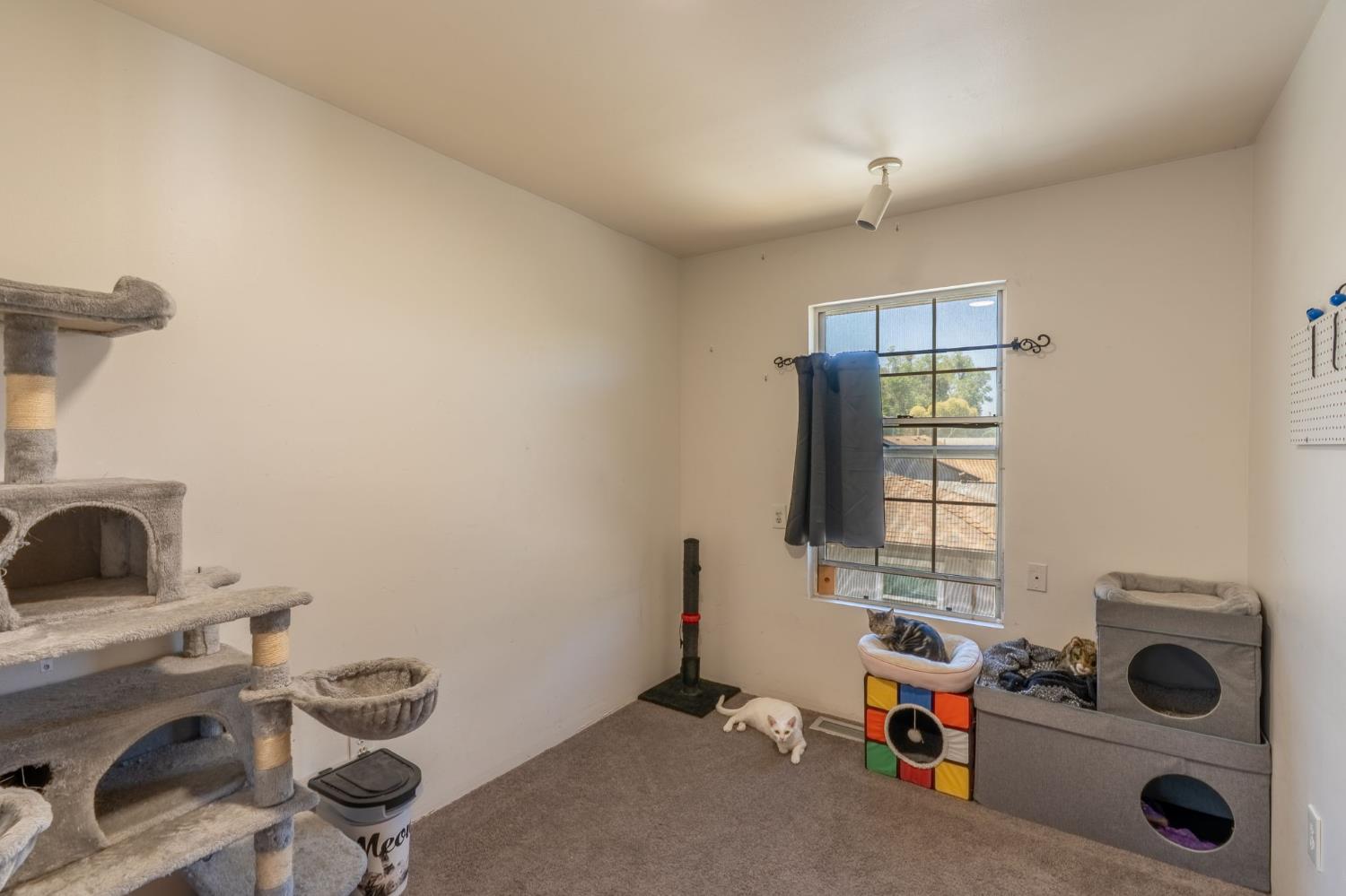 Detail Gallery Image 24 of 28 For 1741 Idalou Ave, Modesto,  CA 95350 - 4 Beds | 2/1 Baths