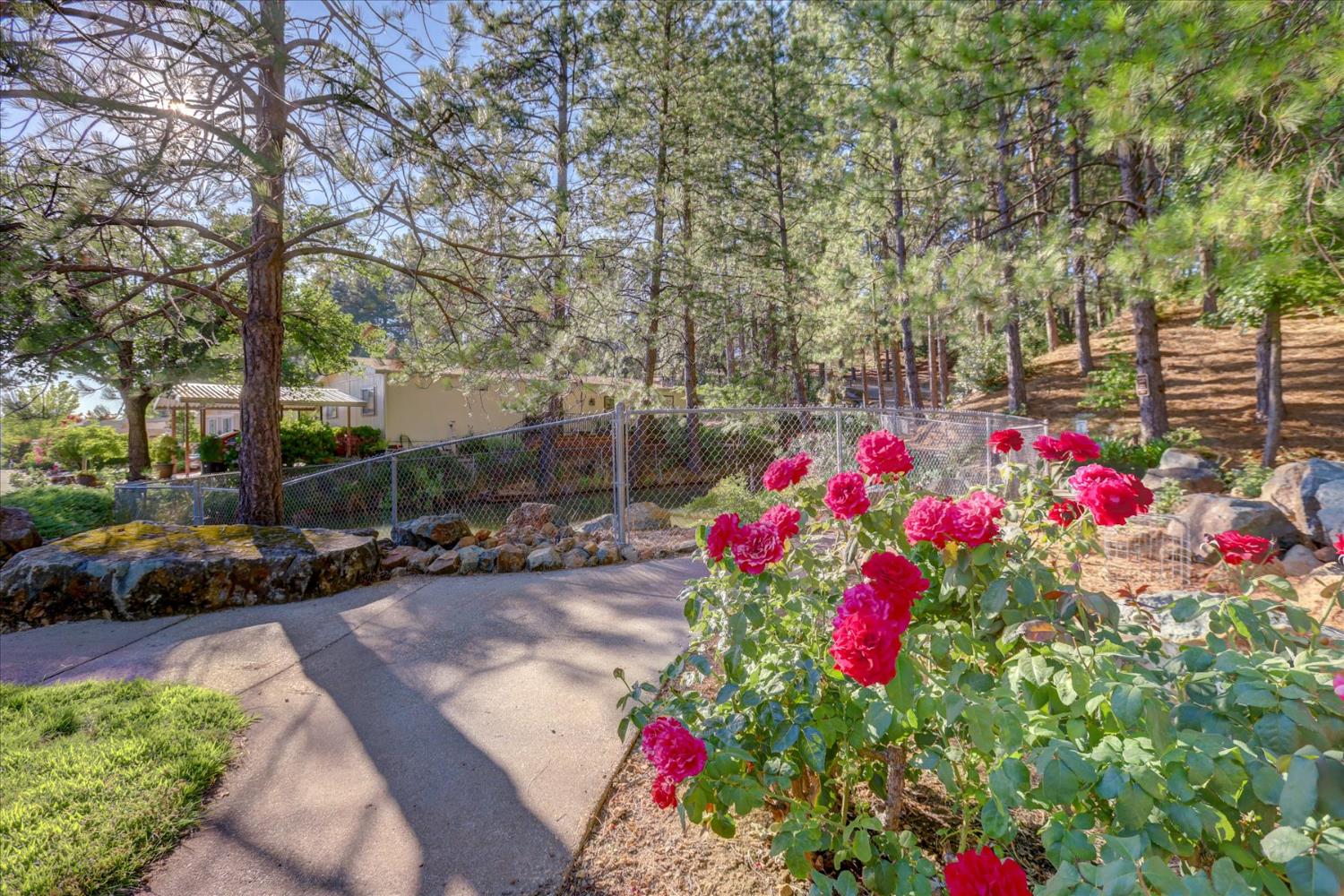 Detail Gallery Image 58 of 68 For 10046 Dalewood Way, Grass Valley,  CA 95949 - 2 Beds | 2 Baths