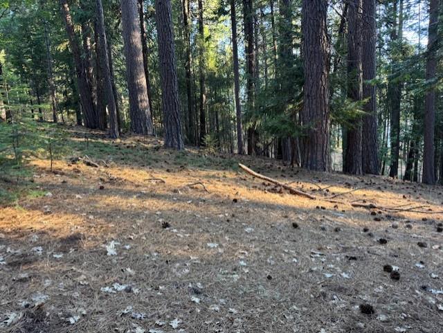 Detail Gallery Image 10 of 15 For 6235 Terrace Dr, Pollock Pines,  CA 95726 - – Beds | – Baths