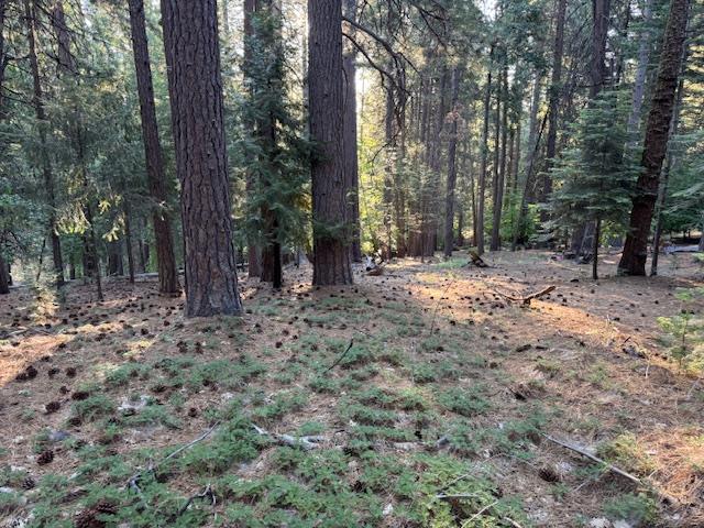 Detail Gallery Image 9 of 15 For 6235 Terrace Dr, Pollock Pines,  CA 95726 - – Beds | – Baths