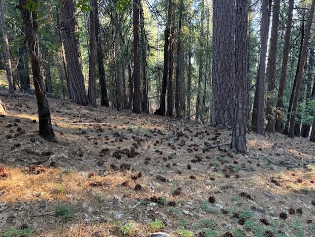 Detail Gallery Image 8 of 15 For 6235 Terrace Dr, Pollock Pines,  CA 95726 - – Beds | – Baths