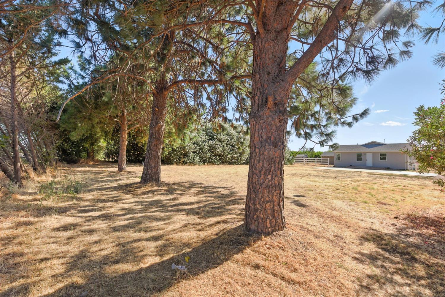 Detail Gallery Image 12 of 30 For 8335 State Highway 70, Marysville,  CA 95901 - 2 Beds | 1 Baths
