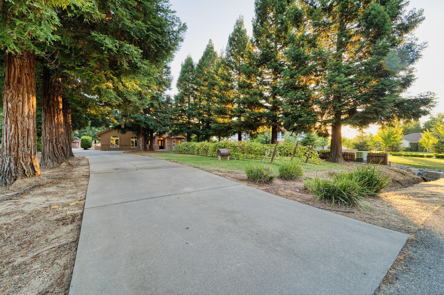 Detail Gallery Image 35 of 48 For 711 Saddleback Dr, Marysville,  CA 95901 - 3 Beds | 2/1 Baths