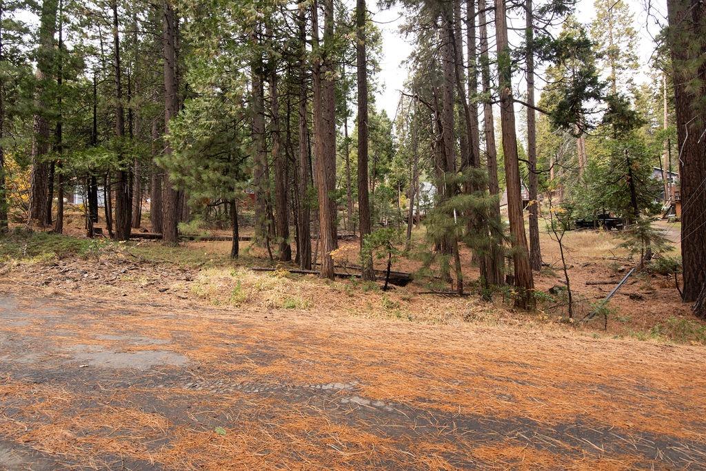 Detail Gallery Image 3 of 19 For 0 Lassen Dr, Cold Springs,  CA 95335 - – Beds | – Baths