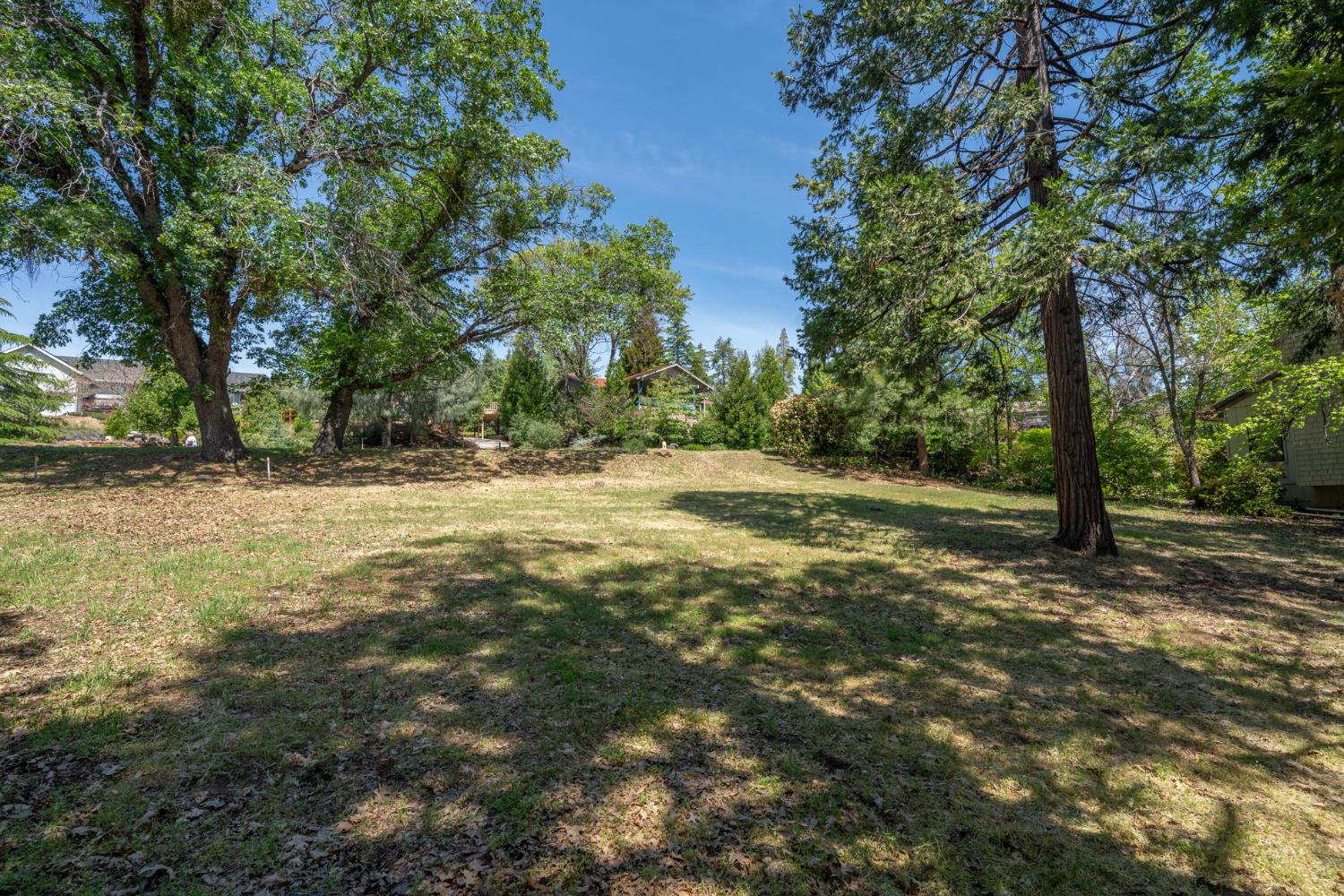 Detail Gallery Image 3 of 17 For 533 Forest Meadows Dr, Murphys,  CA 95247 - – Beds | – Baths