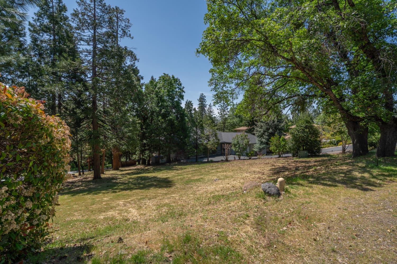 Detail Gallery Image 2 of 17 For 533 Forest Meadows Dr, Murphys,  CA 95247 - – Beds | – Baths