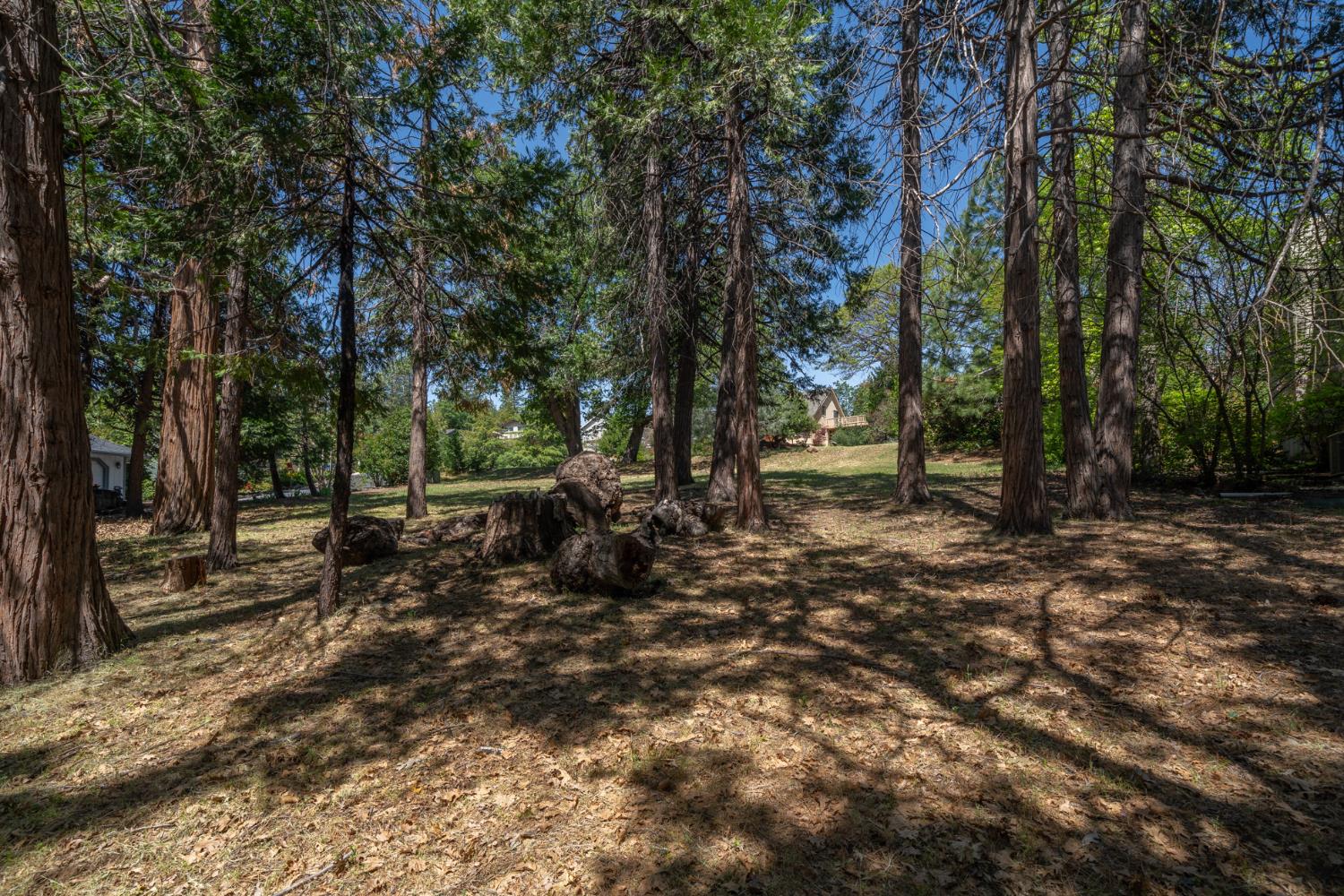 Detail Gallery Image 4 of 17 For 533 Forest Meadows Dr, Murphys,  CA 95247 - – Beds | – Baths