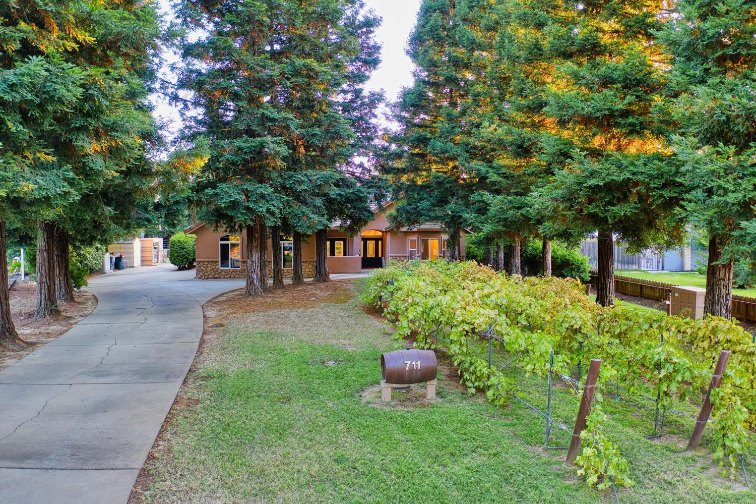 Detail Gallery Image 3 of 48 For 711 Saddleback Dr, Marysville,  CA 95901 - 3 Beds | 2/1 Baths