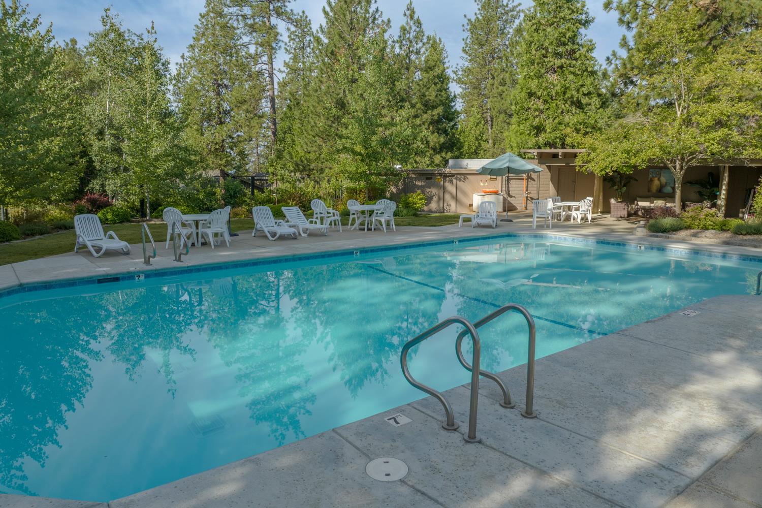 Detail Gallery Image 14 of 17 For 533 Forest Meadows Dr, Murphys,  CA 95247 - – Beds | – Baths