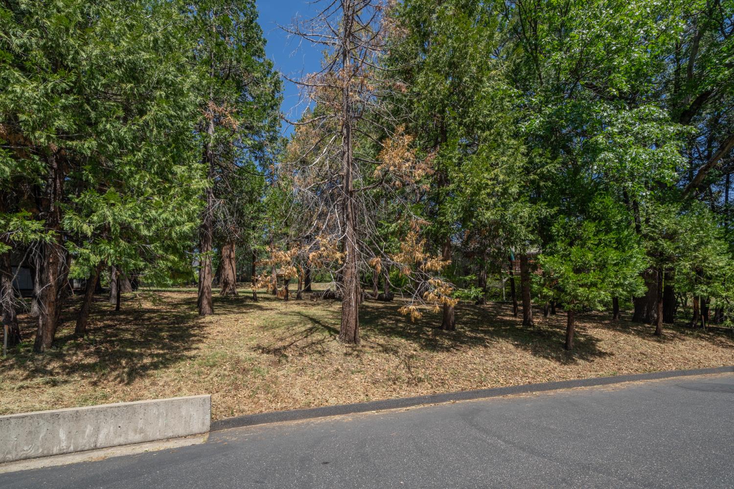 Detail Gallery Image 6 of 17 For 533 Forest Meadows Dr, Murphys,  CA 95247 - – Beds | – Baths
