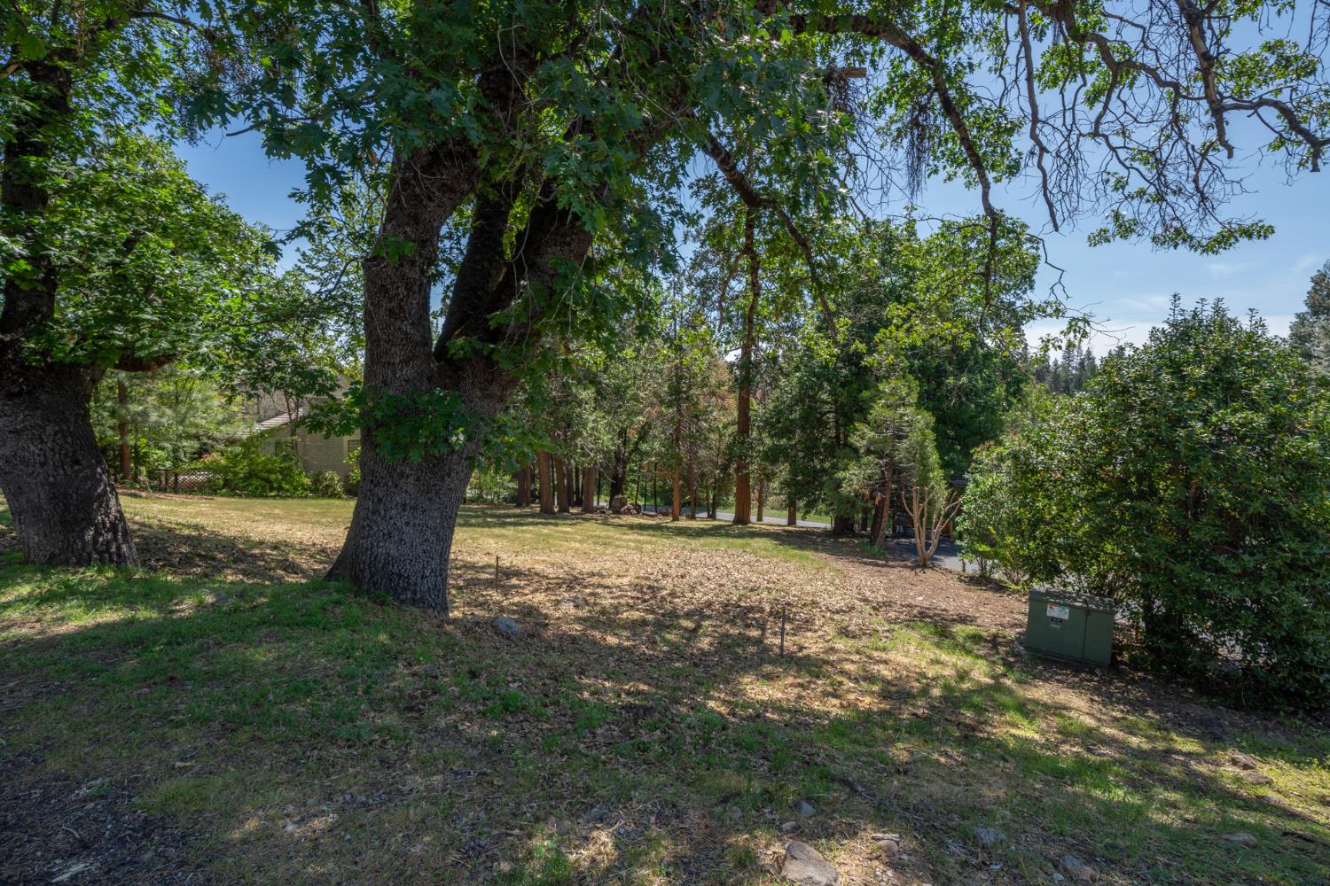 Detail Gallery Image 5 of 17 For 533 Forest Meadows Dr, Murphys,  CA 95247 - – Beds | – Baths