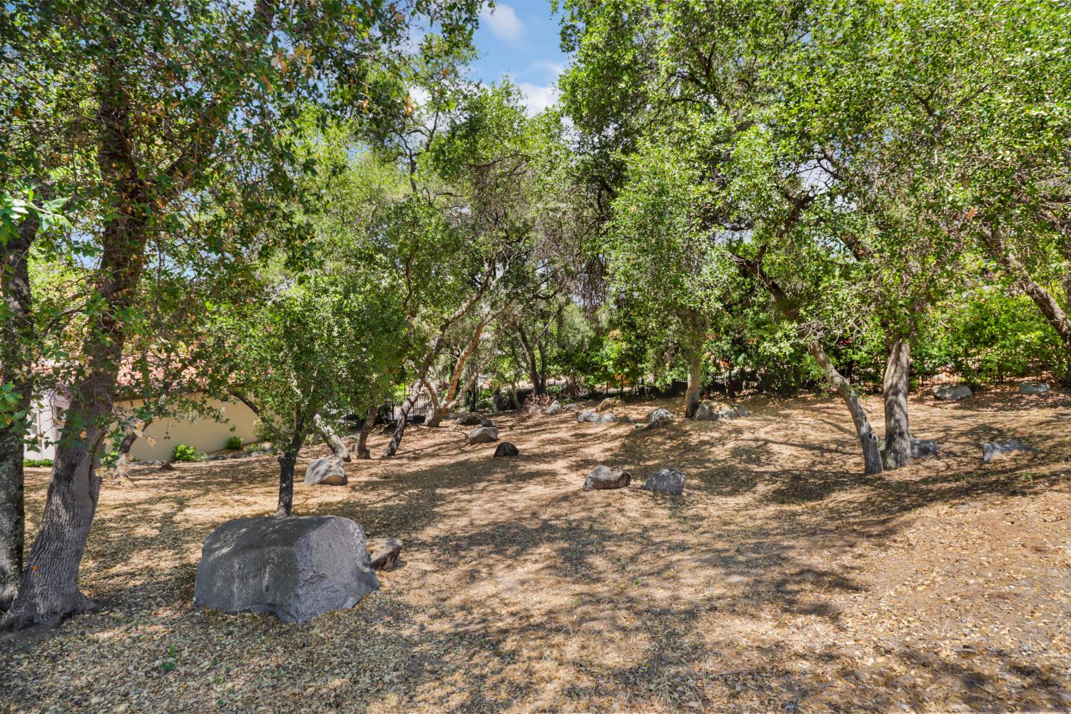 Detail Gallery Image 10 of 59 For 9661 Clos Du Lac Cir, Loomis,  CA 95650 - 4 Beds | 4/1 Baths