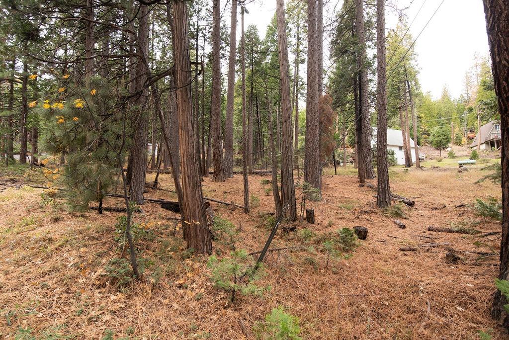 Detail Gallery Image 19 of 19 For 0 Lassen Dr, Cold Springs,  CA 95335 - – Beds | – Baths