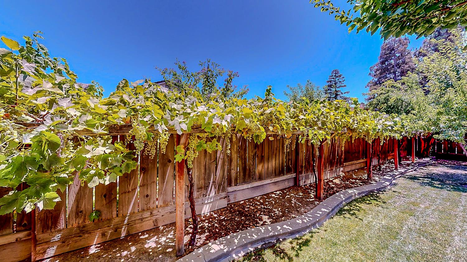 Detail Gallery Image 30 of 43 For 4184 Horizon Ct, Turlock,  CA 95382 - 4 Beds | 3 Baths