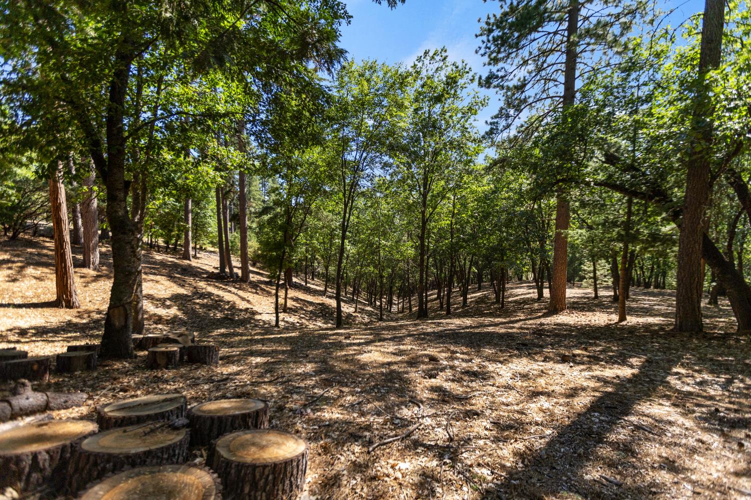 Detail Gallery Image 43 of 62 For 4414 Sierra Springs Dr, Pollock Pines,  CA 95726 - 2 Beds | 2 Baths