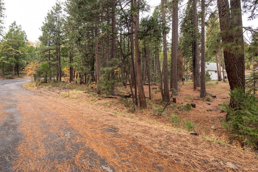 Detail Gallery Image 18 of 19 For 0 Lassen Dr, Cold Springs,  CA 95335 - – Beds | – Baths