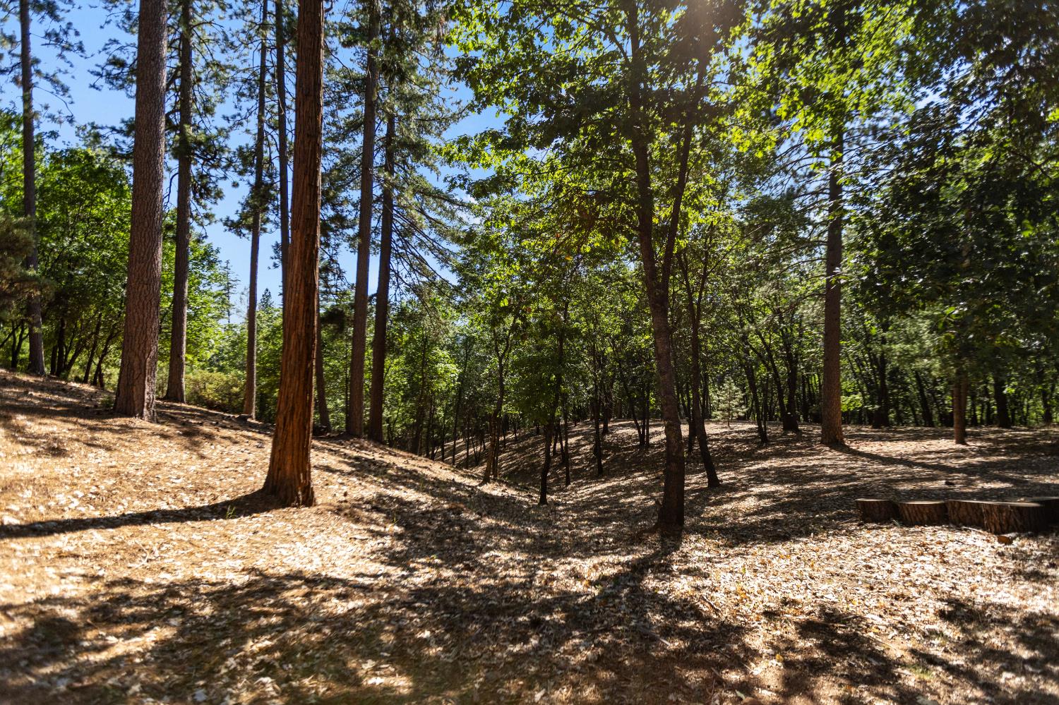 Detail Gallery Image 46 of 62 For 4414 Sierra Springs Dr, Pollock Pines,  CA 95726 - 2 Beds | 2 Baths