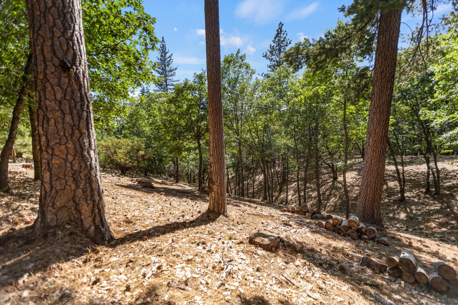 Detail Gallery Image 47 of 62 For 4414 Sierra Springs Dr, Pollock Pines,  CA 95726 - 2 Beds | 2 Baths