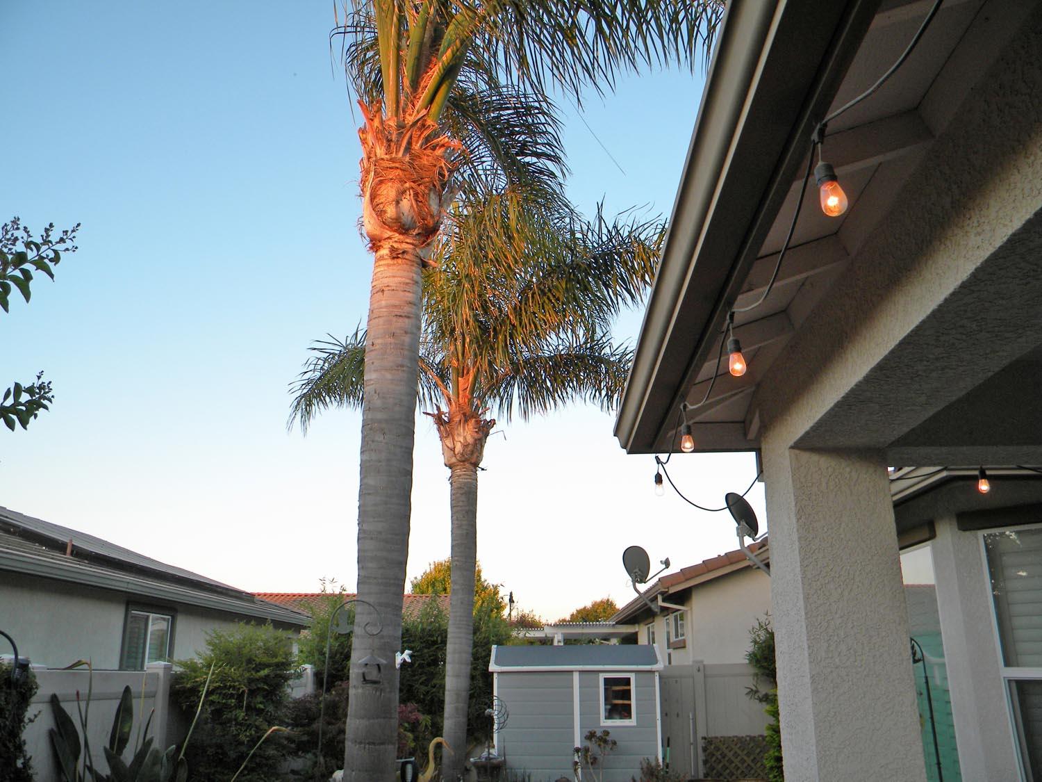 Detail Gallery Image 16 of 21 For 1739 Glenoaks St, Manteca,  CA 95336 - 2 Beds | 2 Baths