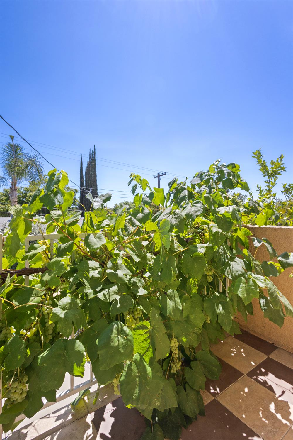 Detail Gallery Image 46 of 64 For 6732 Bismarck Dr, North Highlands,  CA 95660 - 5 Beds | 2/1 Baths