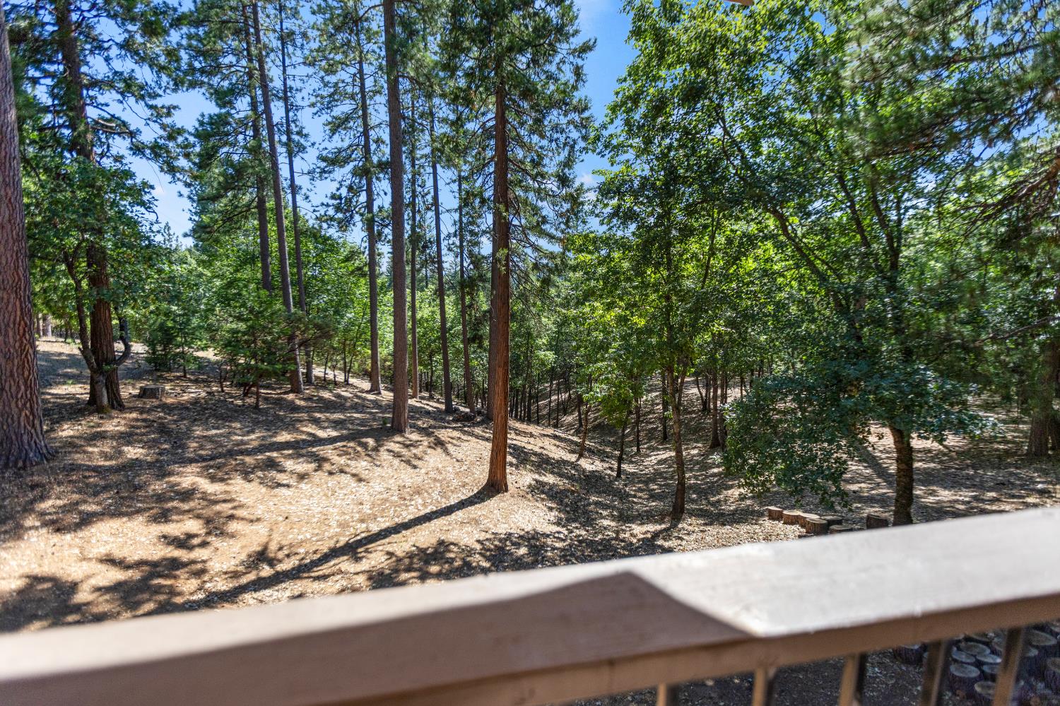 Detail Gallery Image 41 of 62 For 4414 Sierra Springs Dr, Pollock Pines,  CA 95726 - 2 Beds | 2 Baths