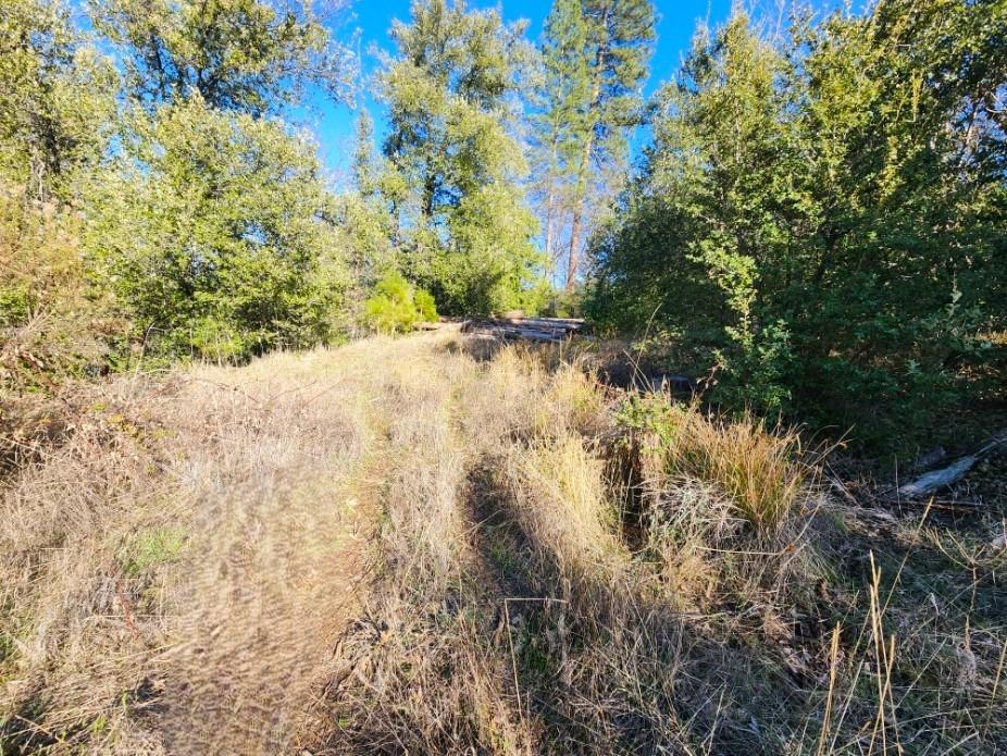 Detail Gallery Image 52 of 68 For 19760 Highway 26, West Point,  CA 95255 - – Beds | – Baths