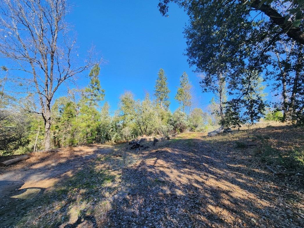 Detail Gallery Image 34 of 68 For 19760 Highway 26, West Point,  CA 95255 - – Beds | – Baths