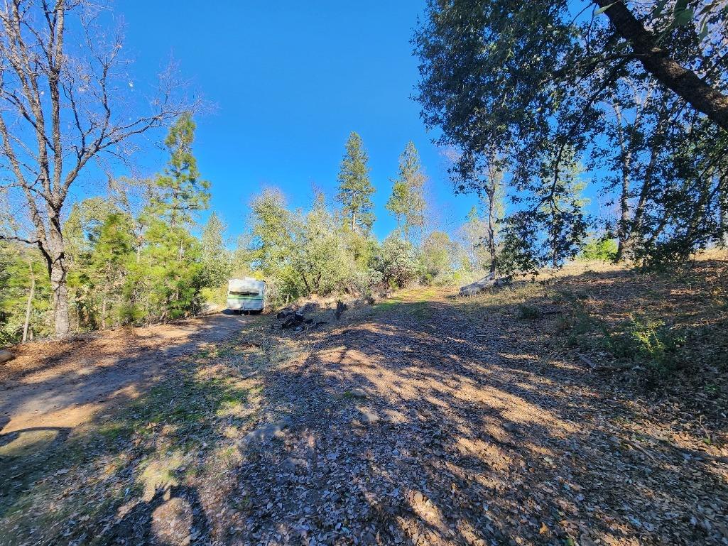 Detail Gallery Image 33 of 68 For 19760 Highway 26, West Point,  CA 95255 - – Beds | – Baths