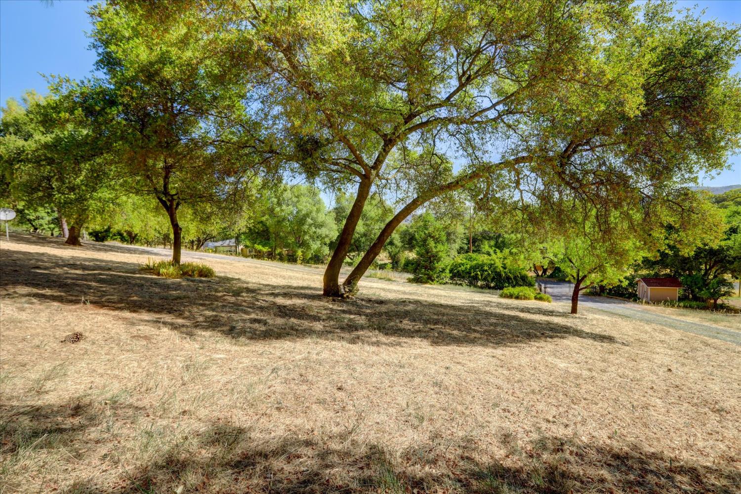 Detail Gallery Image 46 of 53 For 19119 John Born Rd, Penn Valley,  CA 95946 - 3 Beds | 2 Baths