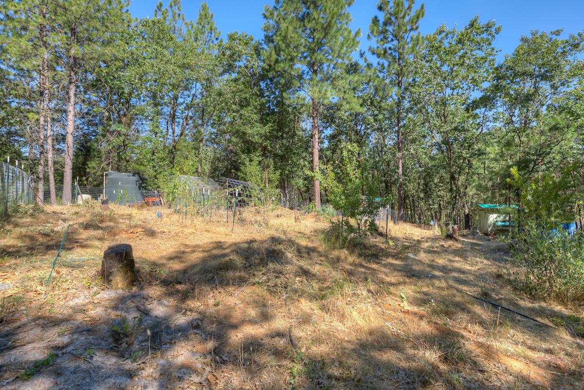 Detail Gallery Image 56 of 68 For 12896 Rices Crossing Rd, Oregon House,  CA 95962 - 5 Beds | 4 Baths