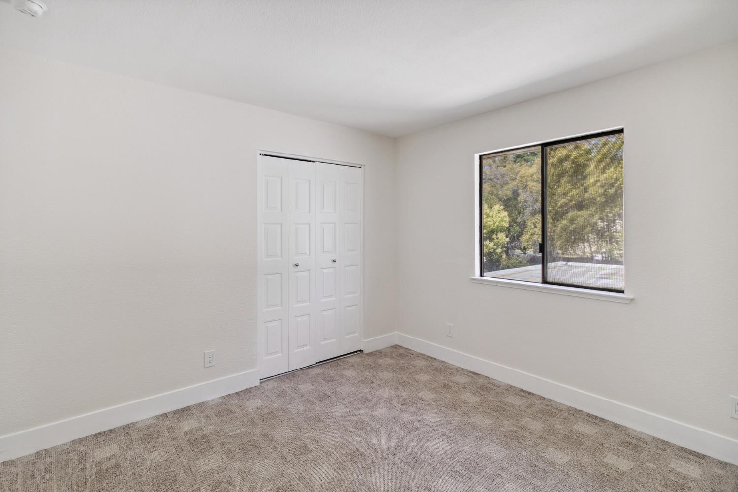 Photo #33: 225092512 Listing: Photo #33