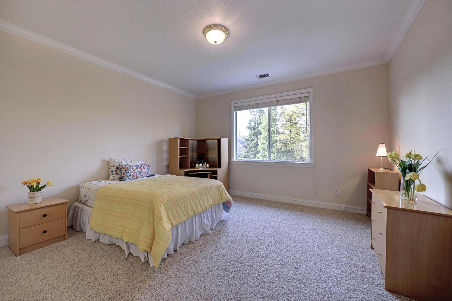 Detail Gallery Image 37 of 57 For 9065 Approach Ct, Fair Oaks,  CA 95628 - 4 Beds | 3 Baths