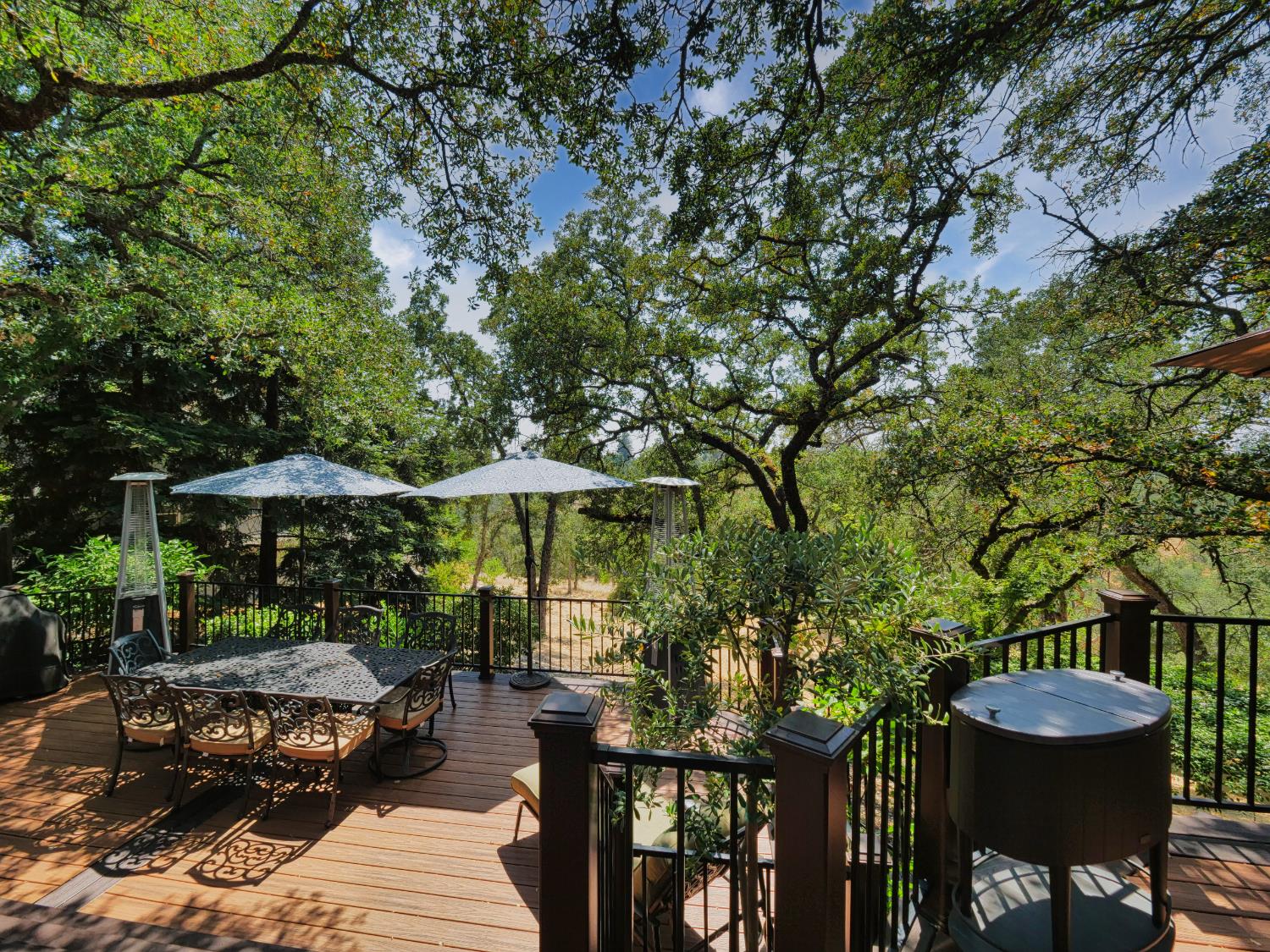 Detail Gallery Image 26 of 37 For 9736 Snowberry Way, Orangevale,  CA 95662 - 4 Beds | 2/1 Baths