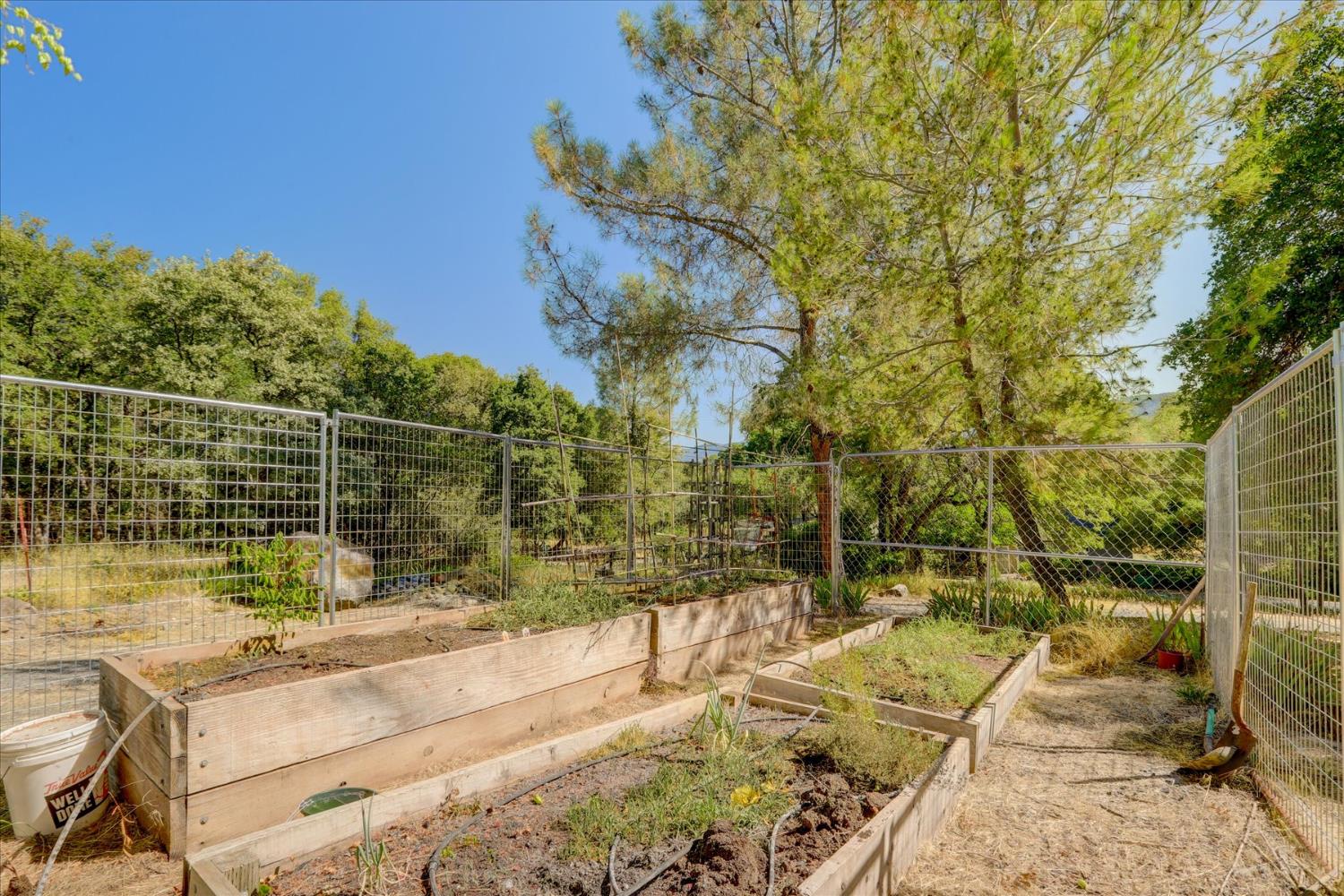 Detail Gallery Image 30 of 53 For 19119 John Born Rd, Penn Valley,  CA 95946 - 3 Beds | 2 Baths