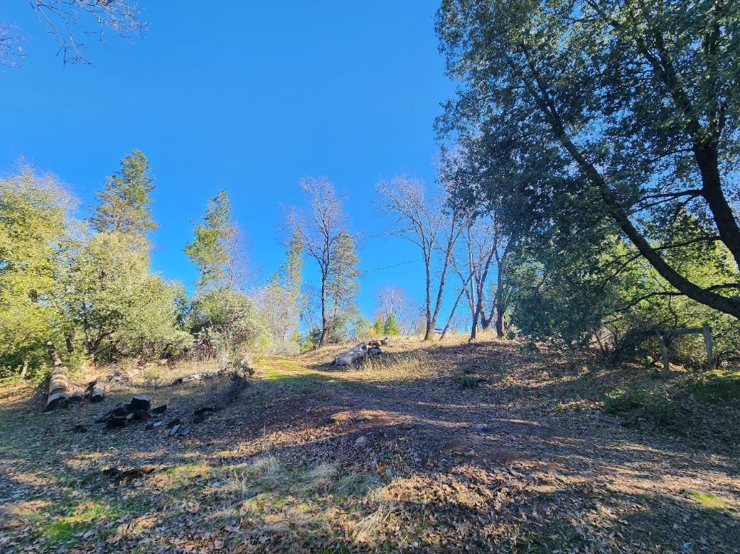 Detail Gallery Image 2 of 68 For 19760 Highway 26, West Point,  CA 95255 - – Beds | – Baths
