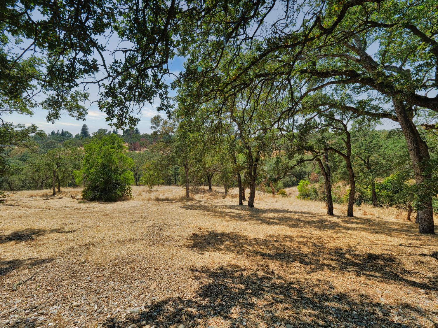 Detail Gallery Image 31 of 37 For 9736 Snowberry Way, Orangevale,  CA 95662 - 4 Beds | 2/1 Baths
