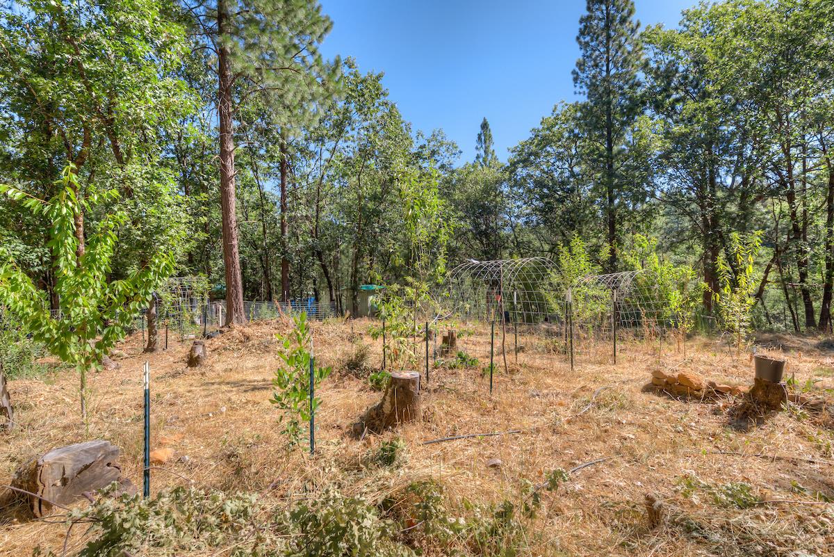 Detail Gallery Image 55 of 68 For 12896 Rices Crossing Rd, Oregon House,  CA 95962 - 5 Beds | 4 Baths