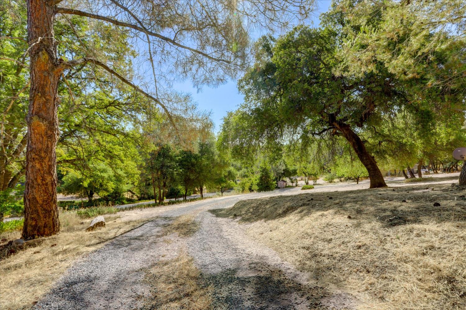 Detail Gallery Image 34 of 53 For 19119 John Born Rd, Penn Valley,  CA 95946 - 3 Beds | 2 Baths