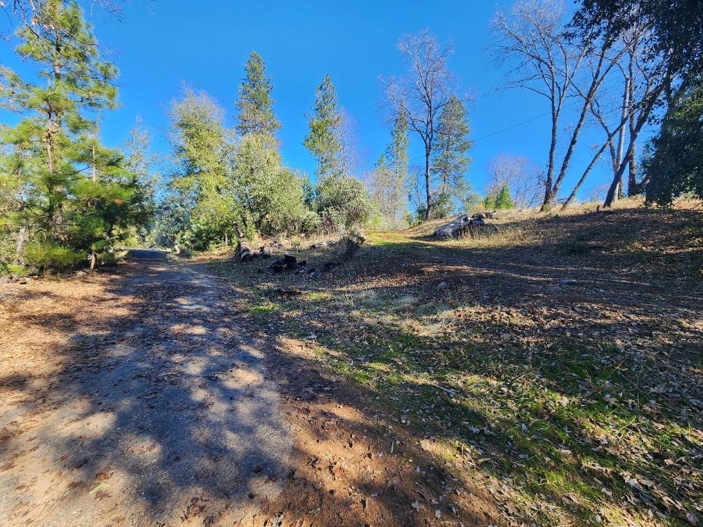 Detail Gallery Image 1 of 68 For 19760 Highway 26, West Point,  CA 95255 - – Beds | – Baths