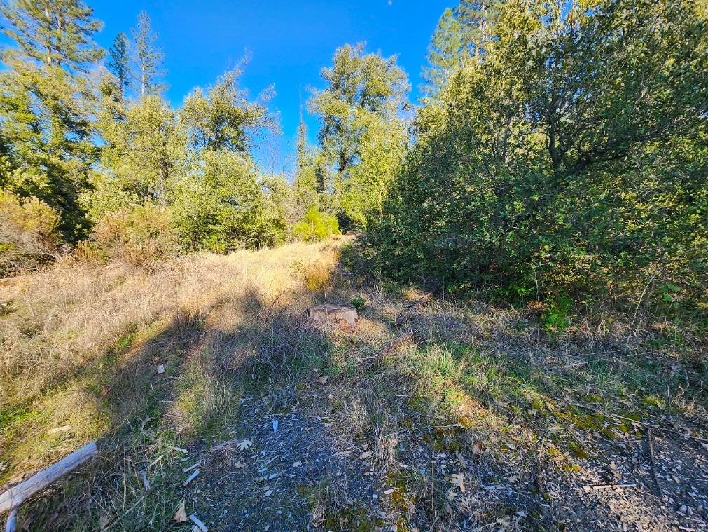 Detail Gallery Image 49 of 68 For 19760 Highway 26, West Point,  CA 95255 - – Beds | – Baths
