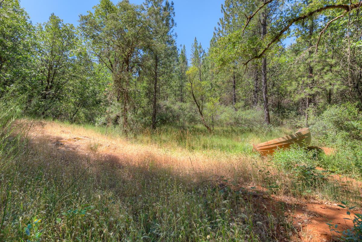 Detail Gallery Image 65 of 68 For 12896 Rices Crossing Rd, Oregon House,  CA 95962 - 5 Beds | 4 Baths