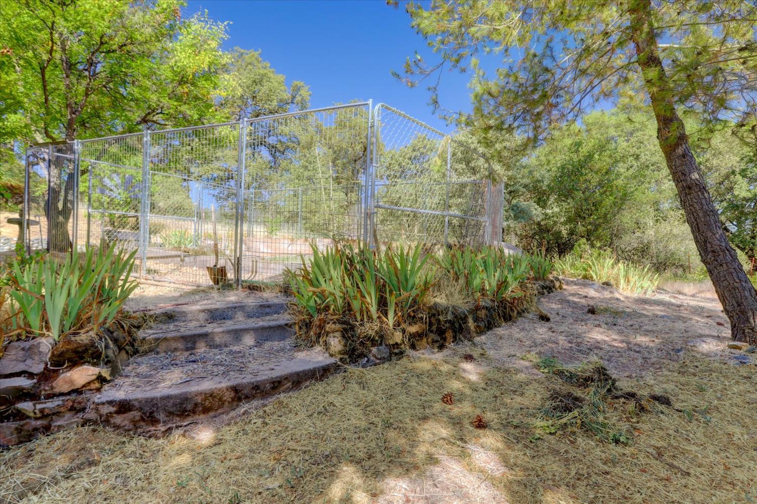 Detail Gallery Image 33 of 53 For 19119 John Born Rd, Penn Valley,  CA 95946 - 3 Beds | 2 Baths