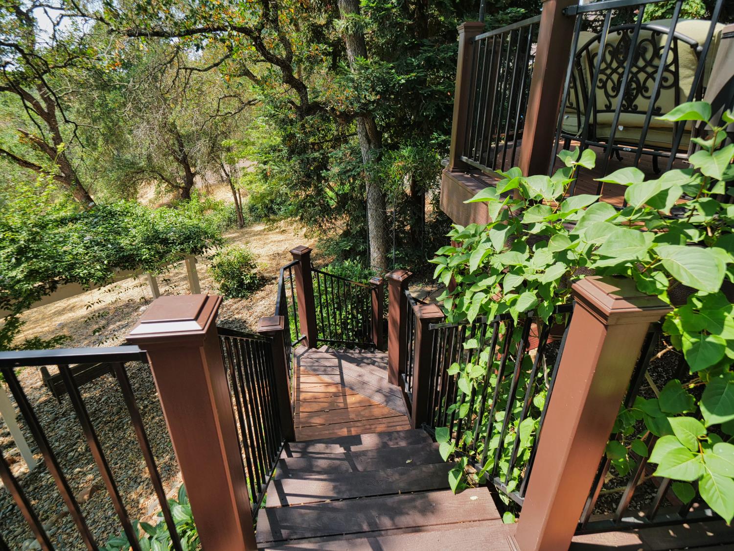 Detail Gallery Image 29 of 37 For 9736 Snowberry Way, Orangevale,  CA 95662 - 4 Beds | 2/1 Baths