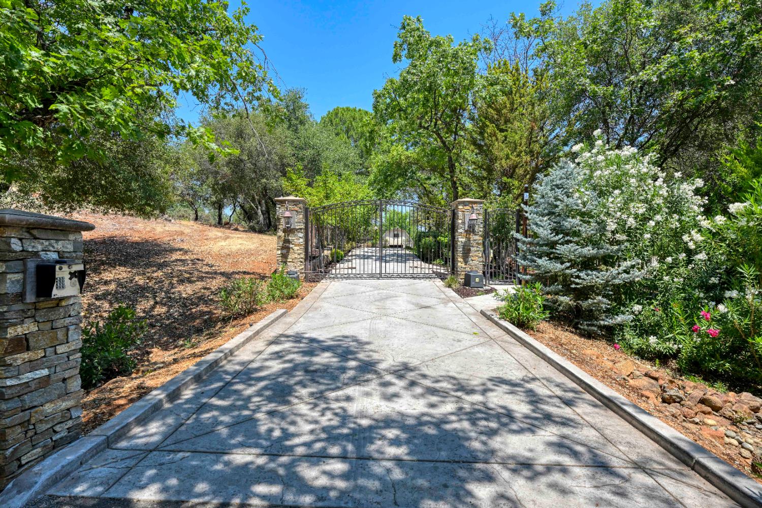 Detail Gallery Image 11 of 98 For 4324 Carlson Ct, Shingle Springs,  CA 95682 - 6 Beds | 6/3 Baths