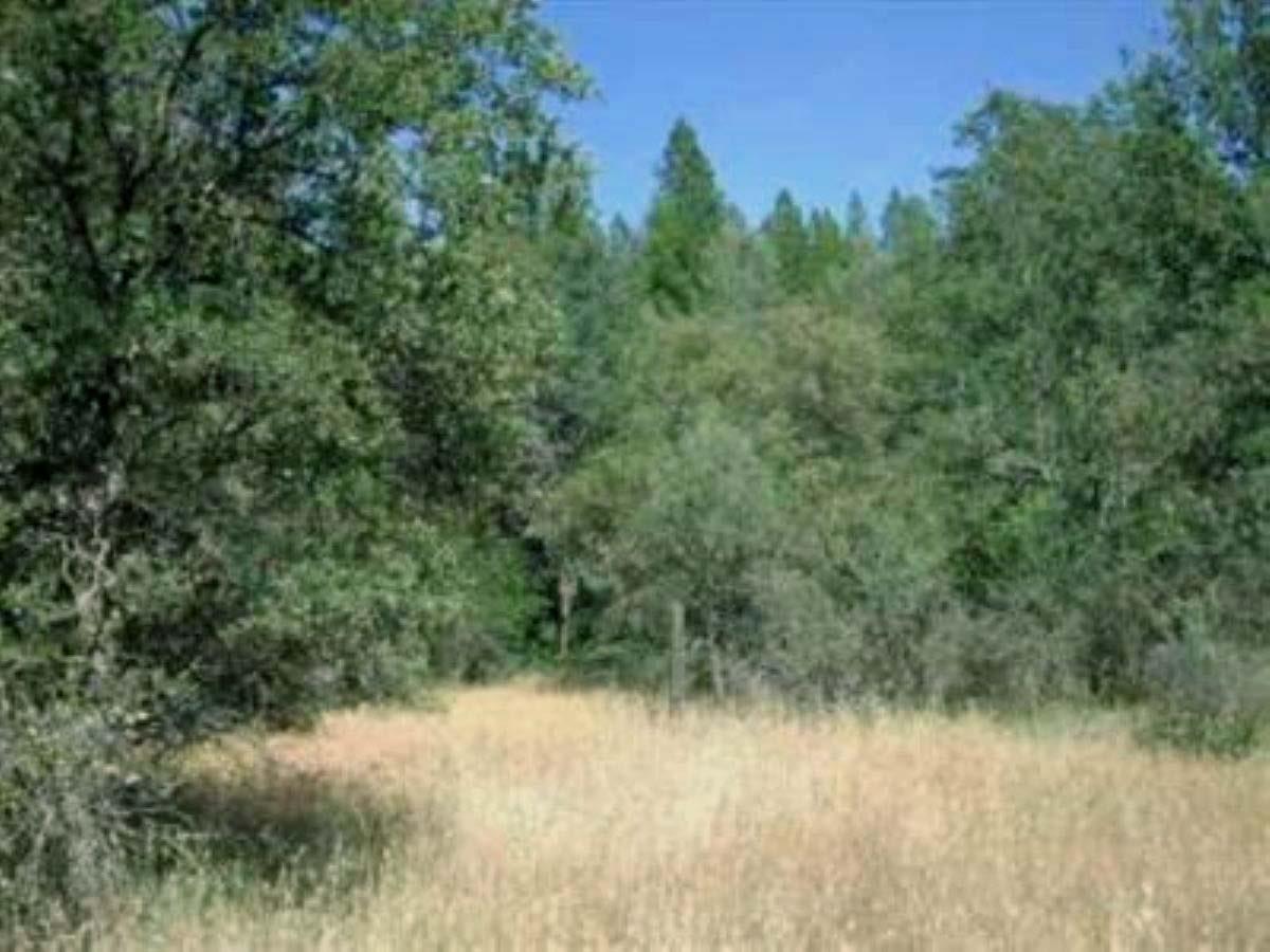Detail Gallery Image 7 of 21 For 47 Texas Hill Rd, Oregon House,  CA 95962 - – Beds | – Baths