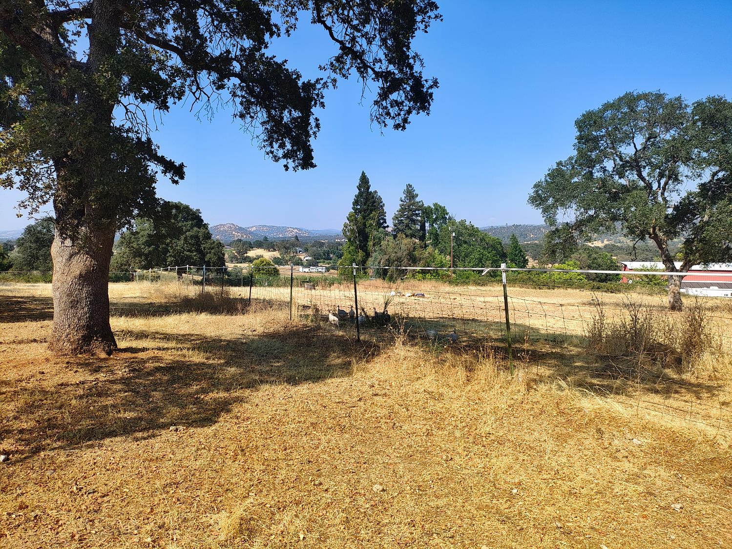 Detail Gallery Image 37 of 50 For 10516 Spring Valley Rd, Marysville,  CA 95901 - 2 Beds | 2 Baths