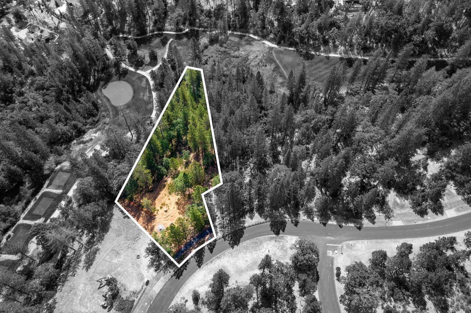 Detail Gallery Image 2 of 22 For 1662 the Point Rd, Meadow Vista,  CA 95722 - – Beds | – Baths