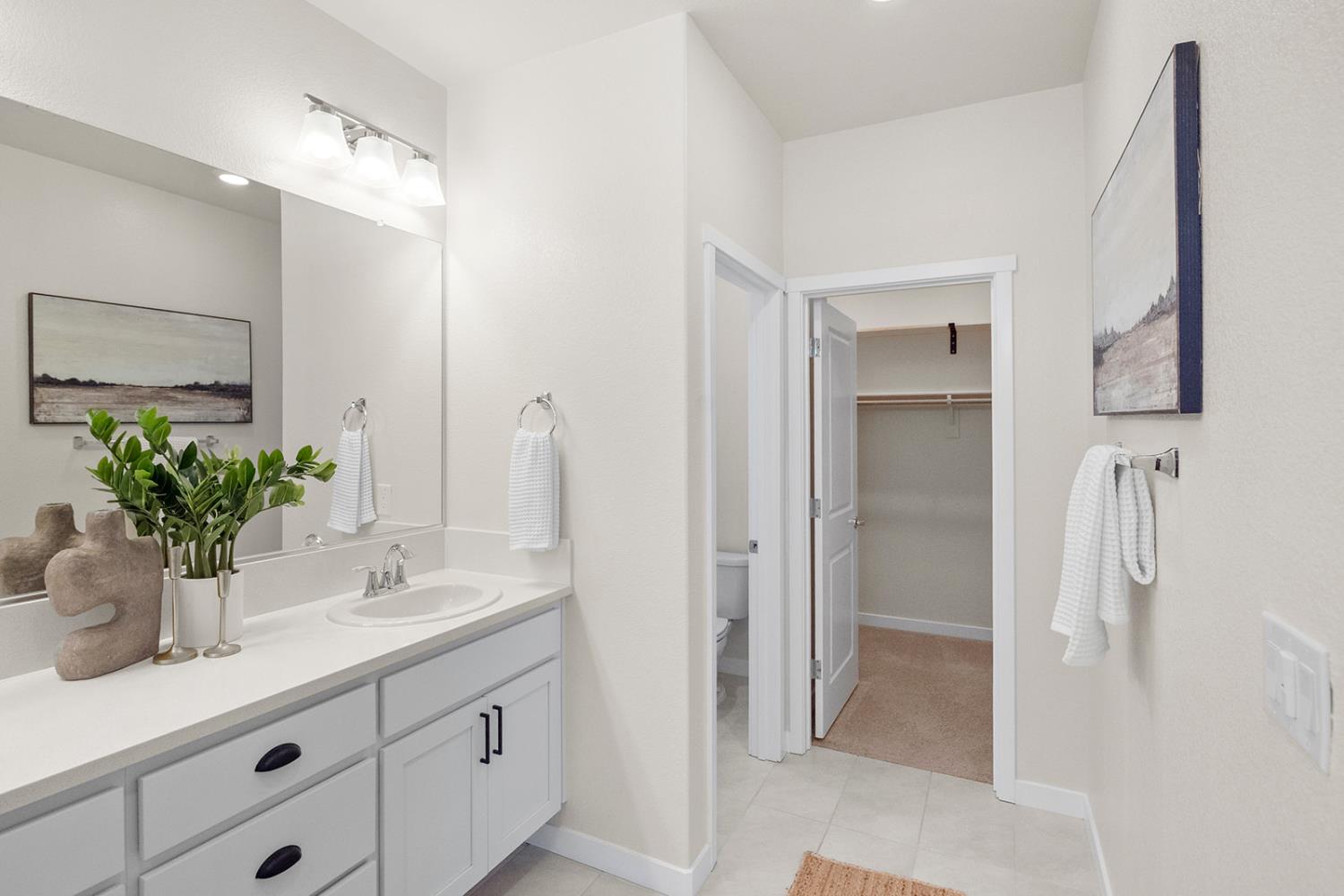 Detail Gallery Image 17 of 30 For 3230 Longspur Ln, West Sacramento,  CA 95691 - 3 Beds | 2/1 Baths